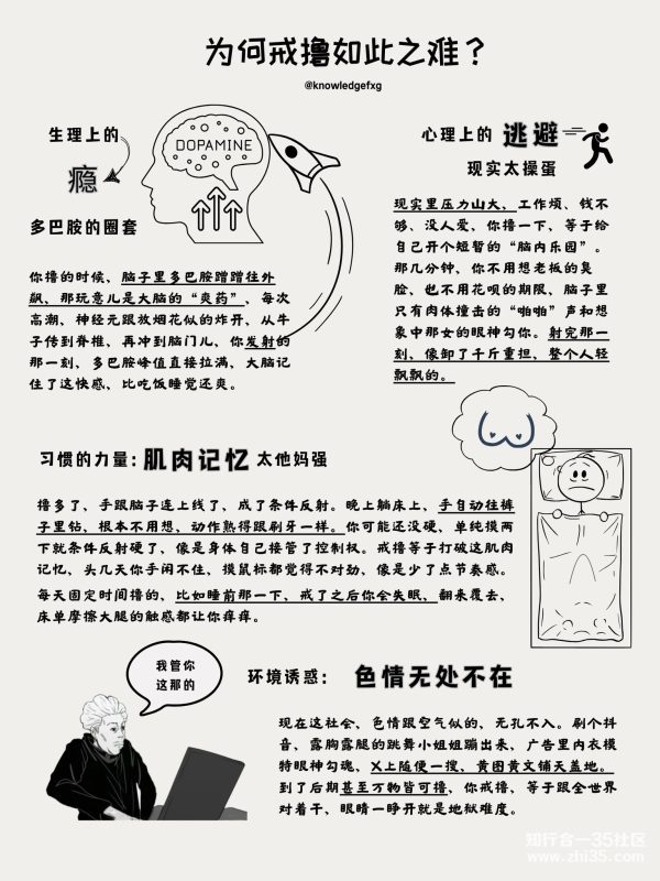 为何戒撸如此之难？😄-知行合一35社区